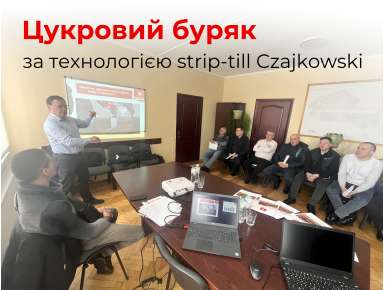 Цукровий буряк за технологією strip-till Czajkowski
