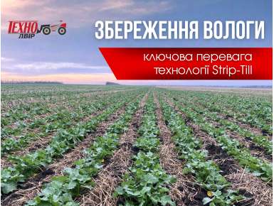 Збереження вологи - ключова перевага технології Strip-Till