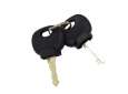 Ignition key 184818