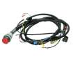 Wiring harness 231242
