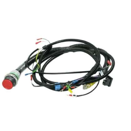Wiring harness 231242