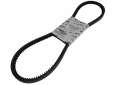 Belt 244237BIS