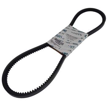 Belt 244237BIS