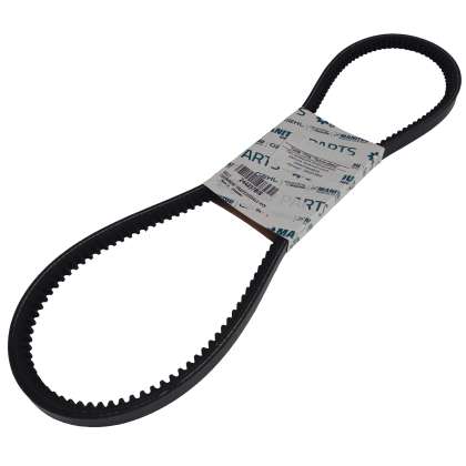 Belt 244237BIS