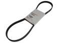Fan belt 319790 Fan belt 319790