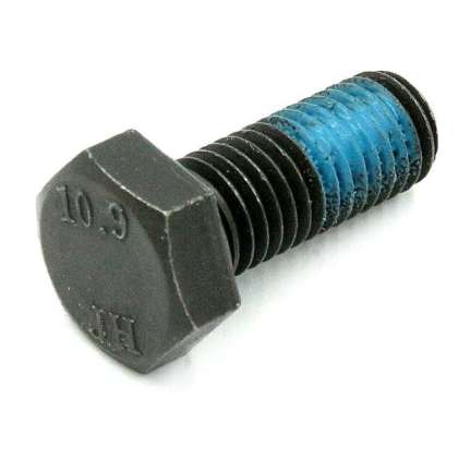 Bolt 561810